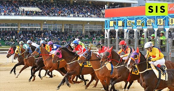 Spanish Horseracing Deal for SIS Limited
